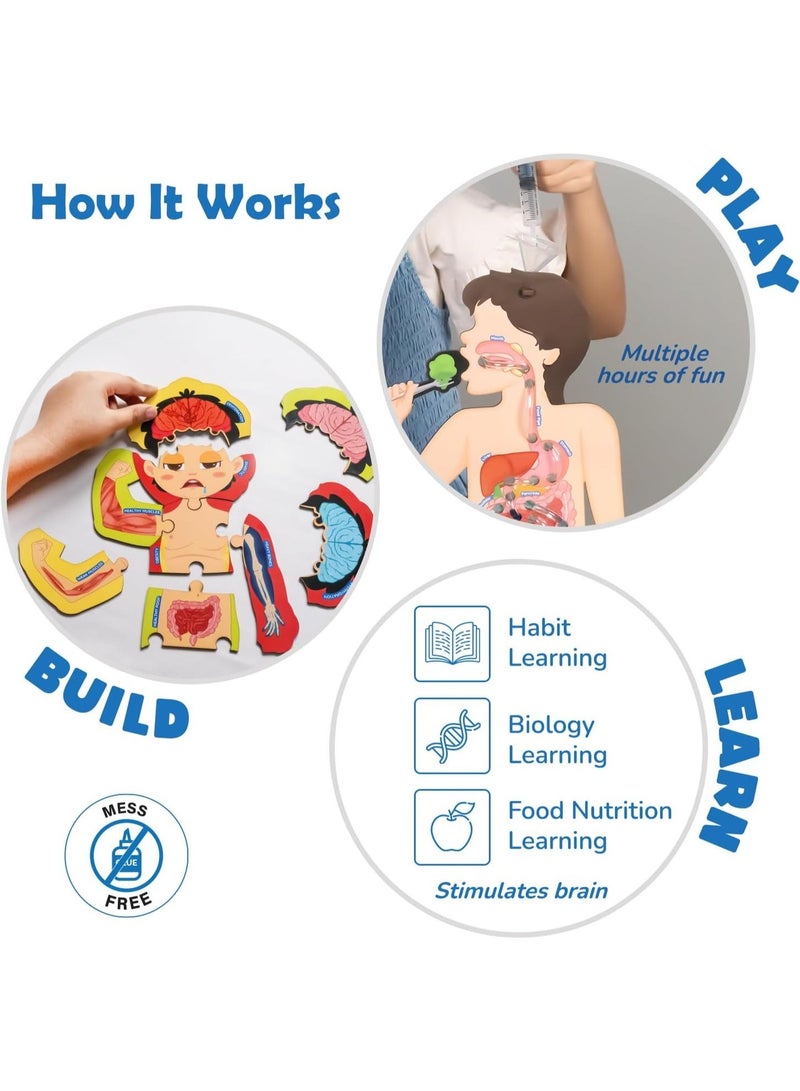 سمارتيفيتي نموذج الجهاز الهضمي من سمارتيفيتي | لعبة تعليمية للأطفال من 6 إلى 12 سنة | مجموعة أدوات علمية لجسم الإنسان مع بطاقات طعام ومتتبع للنظام الغذائي | هدية عيد ميلاد تعليمية للأولاد والبنات - Image 2